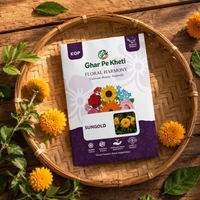 Seed pack